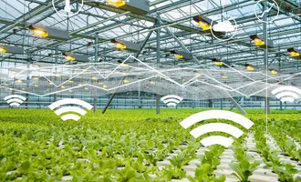中央1号文件释放产业互联网发展新信号，晶链通助力农业产业链智慧升级